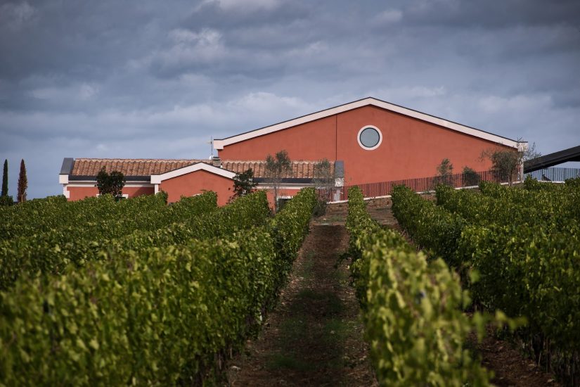 La nuova cantina di Pian delle Vigne (Antinori) a Montalcino 