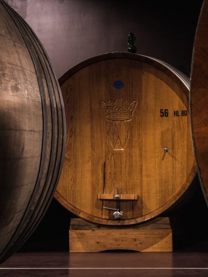 La nuova cantina di Pian delle Vigne (Antinori) a Montalcino 