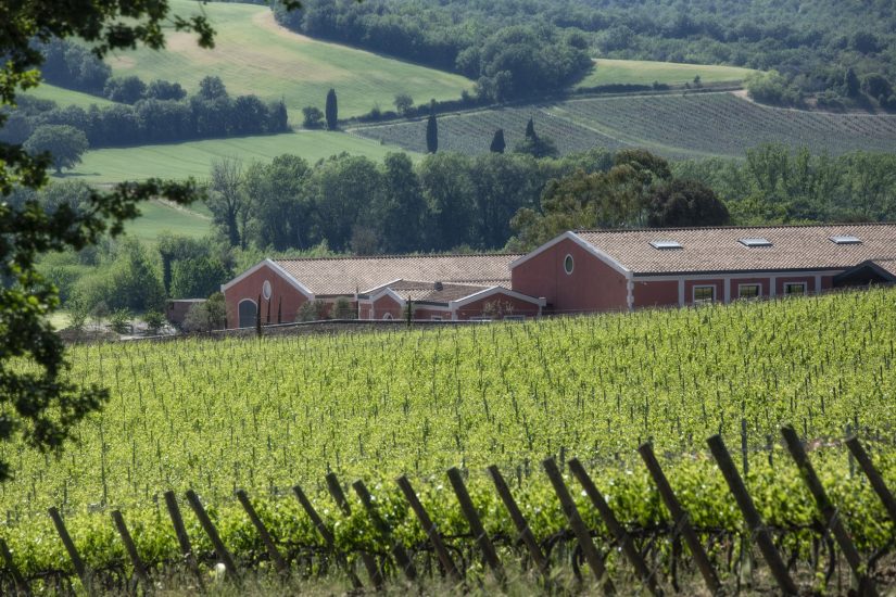 I filari di Pian delle Vigne (Antinori)