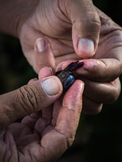 Il Sangiovese di Pian delle Vigne (Antinori)