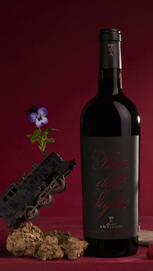 Il Brunello di Montalcino di Pian delle Vigne (Antinori)