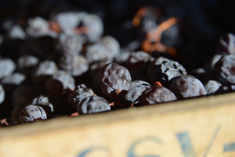 L’appassimento a Cantina Valpolicella Negrar