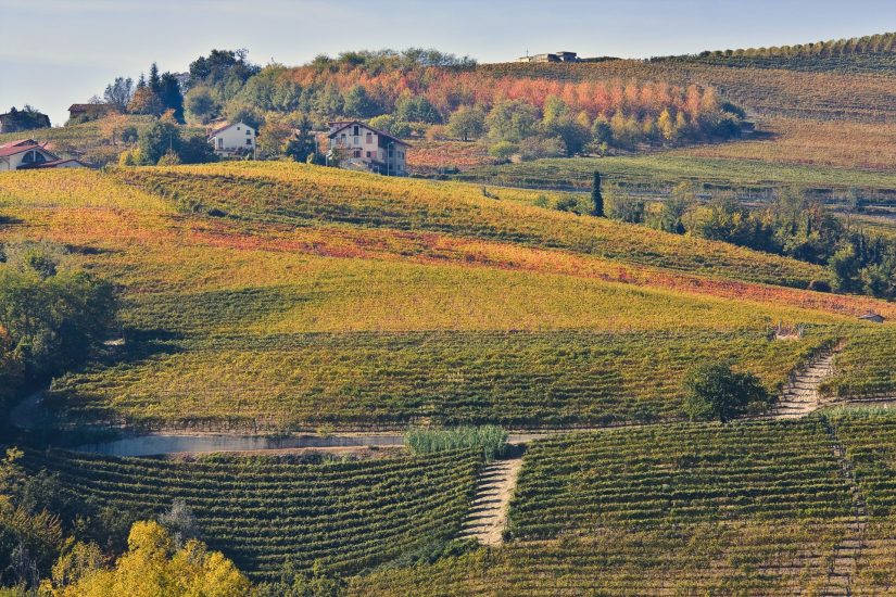I vigneti di E. Pira e Figli di Chiara Boschis