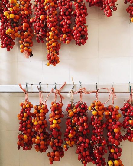 L’antica tradizione di appendere i pomodori in Puglia