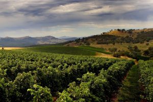 Il “dossier Prosecco” nelle trattative per l’accordo di libero scambio tra Ue e Australia Il “dossier Prosecco” nelle trattative per l’accordo di libero scambio tra Ue e Australia