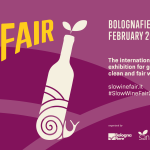 La crisi climatica, il futuro delle denominazioni e il bio: ecco la Slow Wine Fair 2023