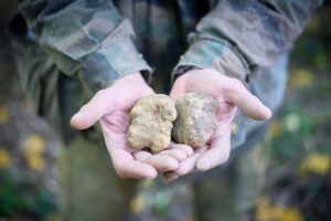 Tartufo italiano, patto tra tartufai-istituzioni per farne un motore di sviluppo delle aree interne