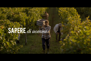 Il Tavernello festeggia i suoi primi 40 anni: un fenomeno tutto italiano targato Caviro