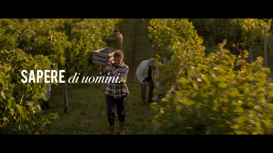 Alcuni frame del nuovo spot televisivo del Tavernello