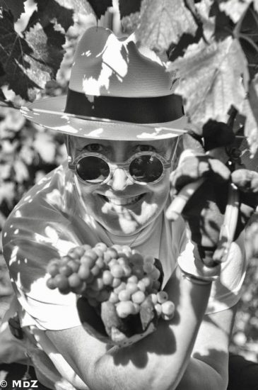 Virginie Saverys, proprietaria di Avignonesi