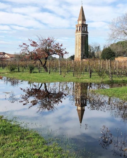 I “Vini da Terre Estreme” si raccontano in Veneto (ph: Venissa)
