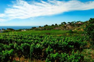 Clima: tra bombe d’acqua, nubifagi e non solo, in Italia, solo a novembre, 242 eventi estremi