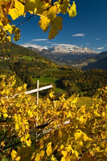 I vigneti di Kettmeir