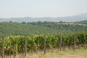 A Italian Wine Brands il 100% delle società della famiglia Barbanera per 41,99 milioni di euro