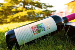 Vino Novello, segni di risveglio. In commercio 6 milioni di bottiglie. Di Zeni il migliore d’Italia