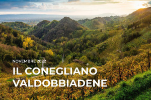 I Quaderni di WineNews - Il Conegliano Valdobbiadene