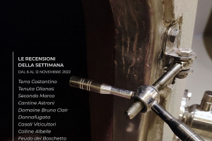 I Vini di WineNews - N. 231