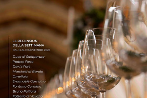 I Vini di WineNews - N. 232