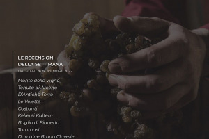 I Vini di WineNews - N. 233