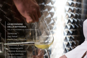 I Vini di WineNews - N. 234