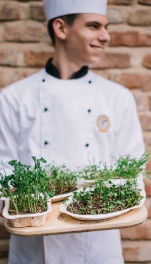 Le erbe aromatiche &ldquo;profumano&rdquo; le Feste, preludio ad una dispensa naturale disponibile tutto l&rsquo;anno