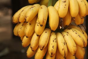 Tra tropicalizzazione e sempre meno &ldquo;campi&rdquo;: come il clima cambia l&rsquo;agricoltura italiana