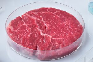 Carne sintetica, raccolte 350.000 firme per una legge che ne vieti produzione e commercio in Italia