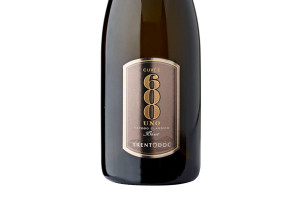 Concilio, Doc Trento Brut Cuvée 600 Uno