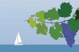 I vini italiani da una prospettiva insolita: “Vigne vista mare”, viaggio lungo le coste del Belpaese