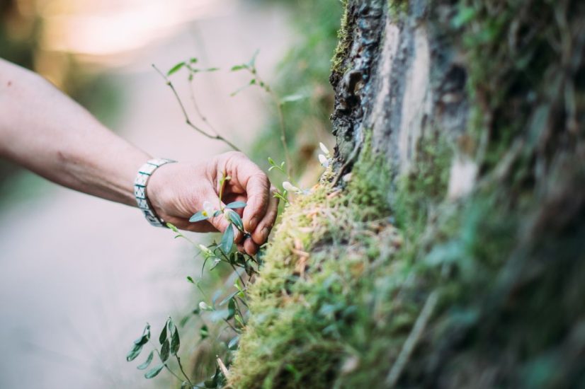 Credit: Lana/Maria Gapp