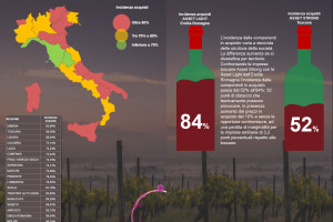 Wine and inflation: the different impact of rising costs among types of businesses and territories