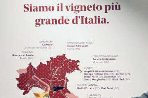 Segnali di ottimismo: gli auguri al vino italiano, dai produttori di “Italia del Vino Consorzio”