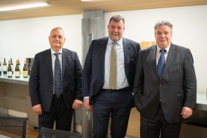 Con un record storico del fatturato, Mezzacorona chiude il 2022: oltre 213 milioni di euro (+8,60%)