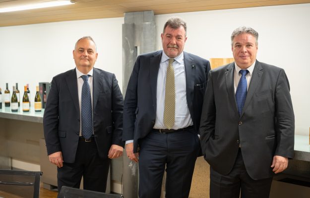 With an all-time record in sales, Mezzacorona closes out 2022: over 213 ...