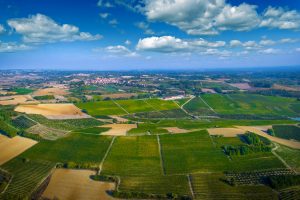Montalbera investe ancora in Monferrato. In vigna, in cantina ed in accoglienza. Sognando Bolgheri