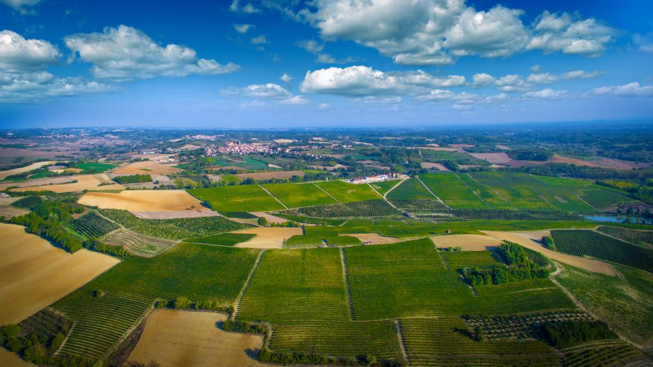 Montalbera ed i suoi vigneti, nel Monferrato