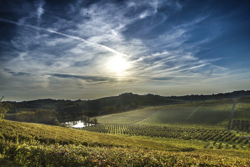 Montalbera ed i suoi vigneti, nel Monferrato