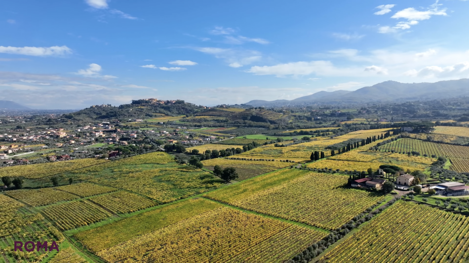 La Doc Roma, legata alla Città Eterna, punta sui giovani
