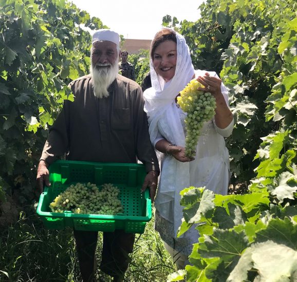 I progetti di Roots of Peace in Afghanistan