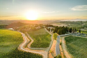 Constellation Brands, chiuso l’affare con The Wine Group: focus sui brand del vino a maggior valore Constellation Brands, chiuso l’affare con The Wine Group: focus sui brand del vino a maggior valore