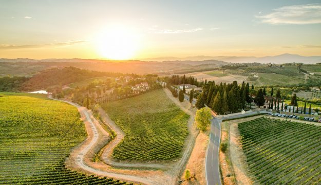 Ruffino, 11 milioni di euro investiti tra il 2019 ed il 2025 per la sostenibilit&agrave;. A 360 gradi