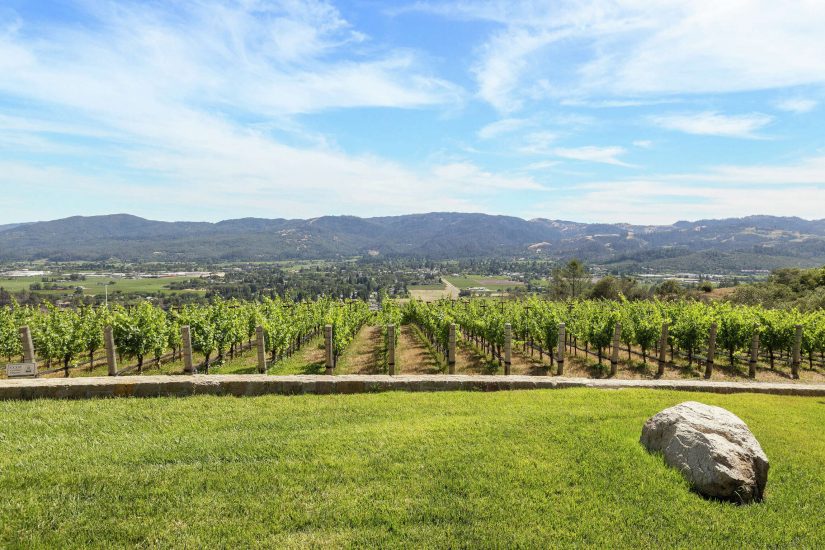 La piccola griffe della Napa Valley Seven Stones (Credit: Open Homes Photography)