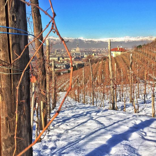 “Grapes in Town-Effetto Bio-Xmas edition” a Torino. Ph: Balbiano