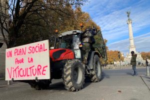 I produttori di Bordeaux rilanciano: i fondi per l’espianto sono insufficienti