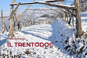 I Quaderni di WineNews - Il Trentodoc