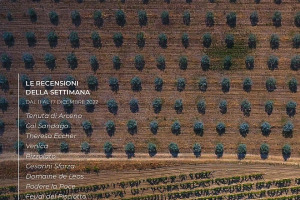 I Vini di WineNews - N. 236