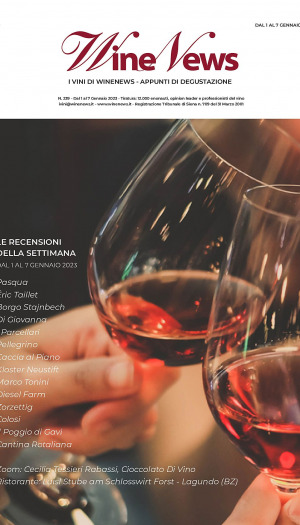 I Vini di WineNews