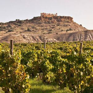 Il Nero d&rsquo;Avola &egrave; la variet&agrave; pi&ugrave; amata dai critici e dai gourmand di TasteAtlas