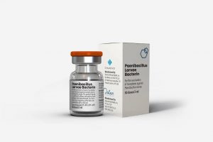 Arriva dagli Stati Uniti il primo vaccino al mondo per la peste delle api