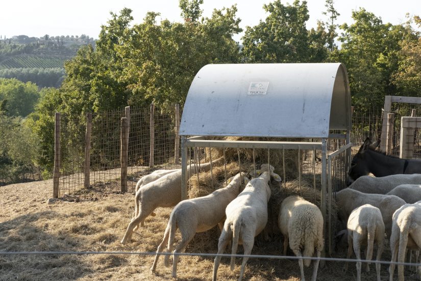 Villa Petriolo è una grande tenuta con borgo e fattoria